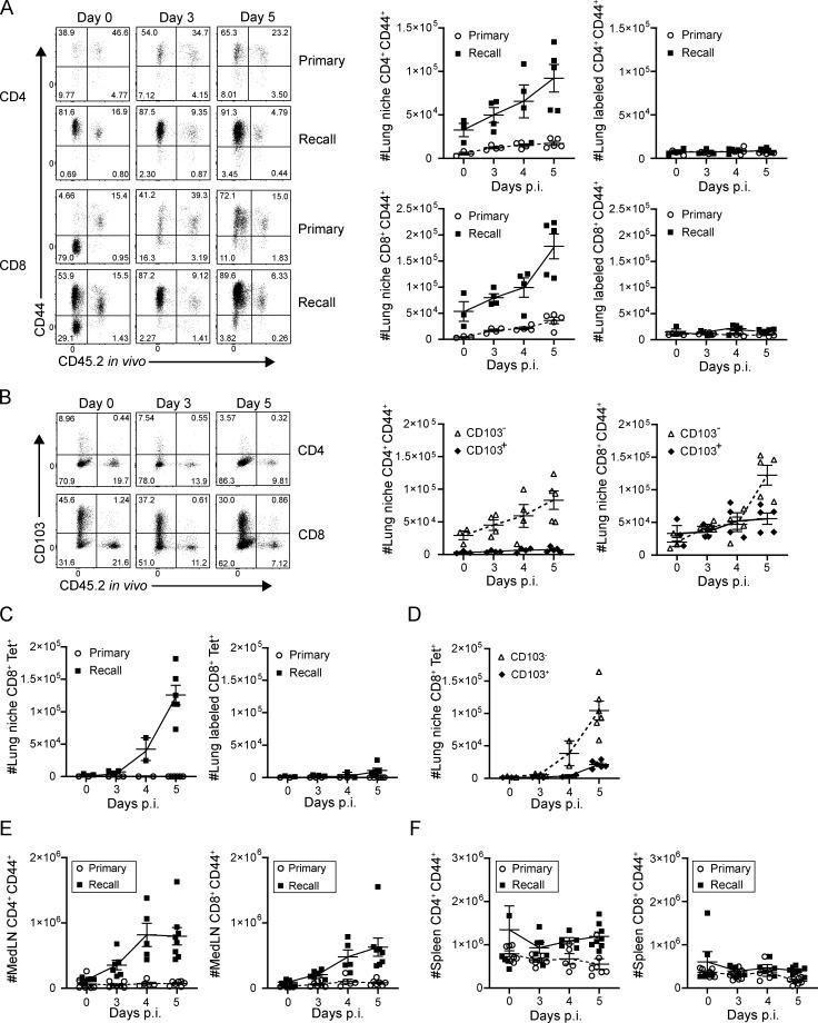 https://cdn.ncbi.nlm.nih.gov/pmc/blobs/6b1d/7534905/c21b6c3fdc23/JEM_20200218_Fig2.jpg