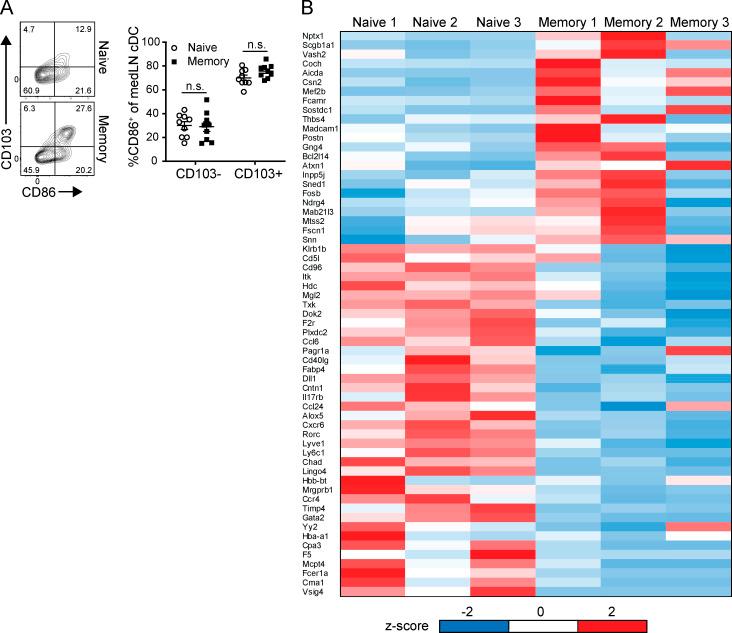 https://cdn.ncbi.nlm.nih.gov/pmc/blobs/6b1d/7534905/e10b8e6f210f/JEM_20200218_FigS3.jpg
