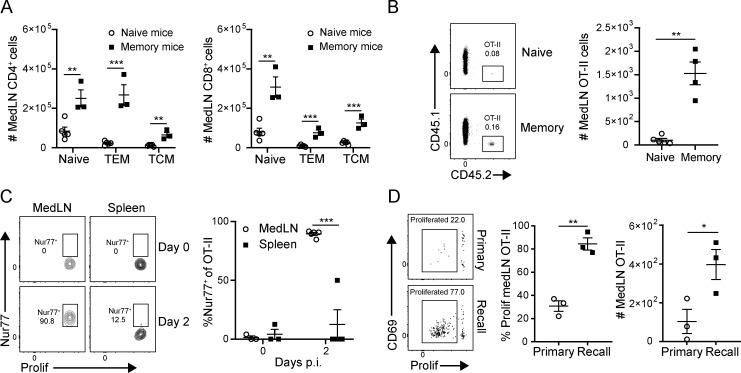 https://cdn.ncbi.nlm.nih.gov/pmc/blobs/6b1d/7534905/e4a8e3647f37/JEM_20200218_Fig5.jpg