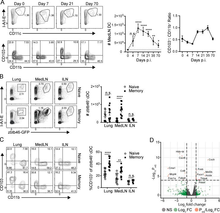 https://cdn.ncbi.nlm.nih.gov/pmc/blobs/6b1d/7534905/f1f95622734b/JEM_20200218_Fig6.jpg
