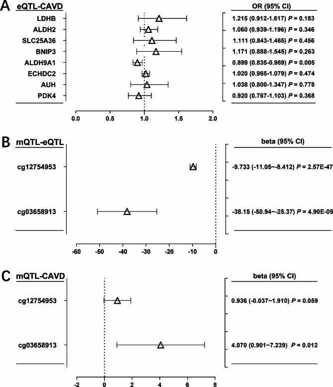https://cdn.ncbi.nlm.nih.gov/pmc/blobs/6b21/11464510/6e13655aee03/41598_2024_75115_Fig9_HTML.jpg