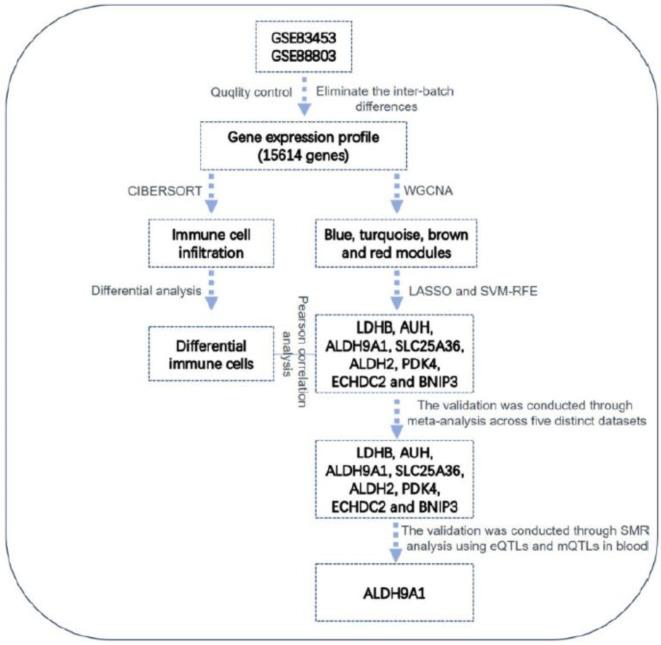 https://cdn.ncbi.nlm.nih.gov/pmc/blobs/6b21/11464510/809664033128/41598_2024_75115_Fig1_HTML.jpg