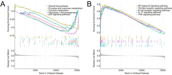 https://cdn.ncbi.nlm.nih.gov/pmc/blobs/6b21/11464510/9e562e1a12a7/41598_2024_75115_Fig10_HTML.jpg