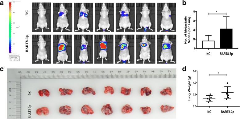 https://cdn.ncbi.nlm.nih.gov/pmc/blobs/6b21/6257964/26bb4b88a112/13046_2018_953_Fig3_HTML.jpg