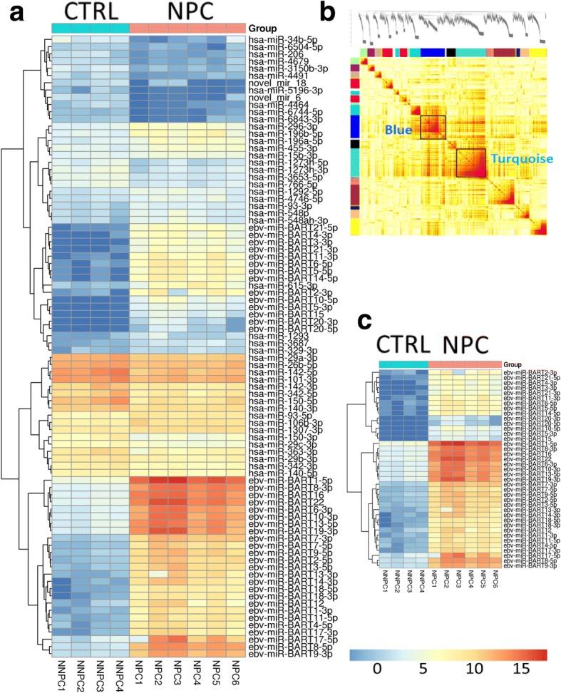 https://cdn.ncbi.nlm.nih.gov/pmc/blobs/6b21/6257964/ca36eb7f09c6/13046_2018_953_Fig1_HTML.jpg