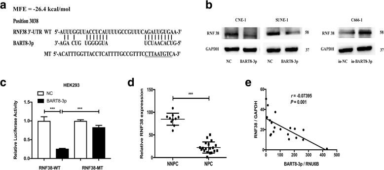 https://cdn.ncbi.nlm.nih.gov/pmc/blobs/6b21/6257964/feb72c9e4e63/13046_2018_953_Fig6_HTML.jpg