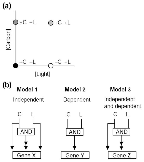 https://cdn.ncbi.nlm.nih.gov/pmc/blobs/6b23/395748/c2d493bf1ea4/gb-2004-5-2-r10-1.jpg