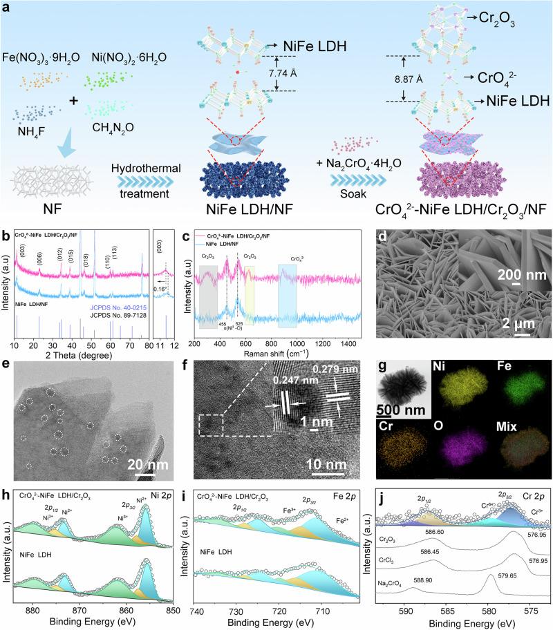 https://cdn.ncbi.nlm.nih.gov/pmc/blobs/6b24/11300586/c7d0b26d5146/41467_2024_51130_Fig1_HTML.jpg