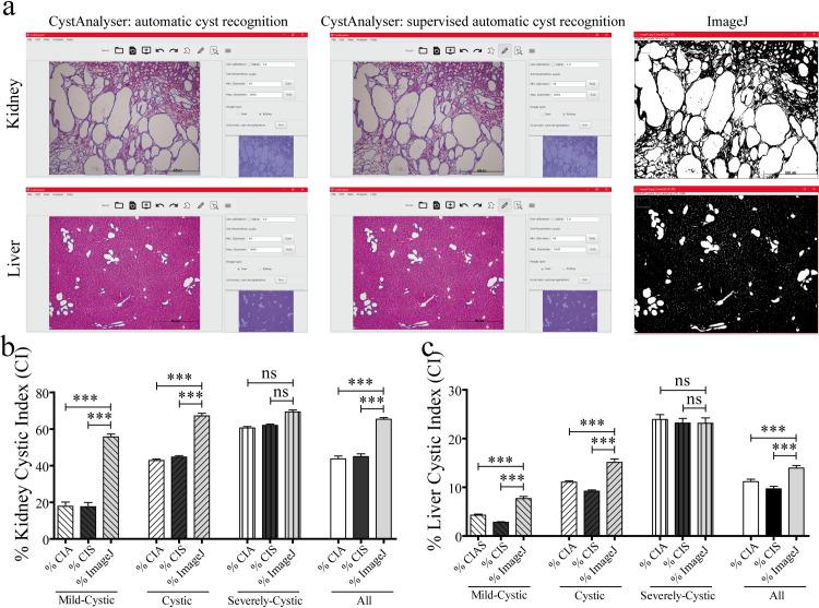 https://cdn.ncbi.nlm.nih.gov/pmc/blobs/6b25/7608985/2b44bf0f958a/pcbi.1008337.g006.jpg