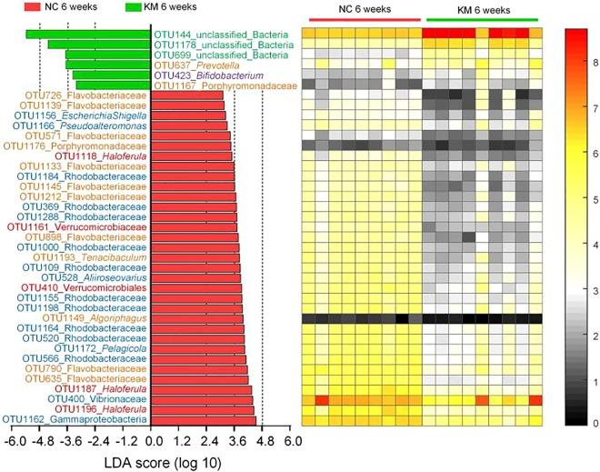 https://cdn.ncbi.nlm.nih.gov/pmc/blobs/6b27/6345827/0c6eeb288328/41598_2018_37042_Fig5_HTML.jpg