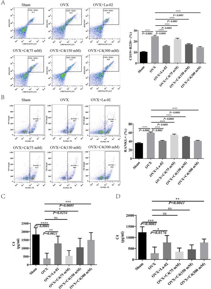 https://cdn.ncbi.nlm.nih.gov/pmc/blobs/6b29/10963762/12535dc34348/41598_2024_57122_Fig5_HTML.jpg
