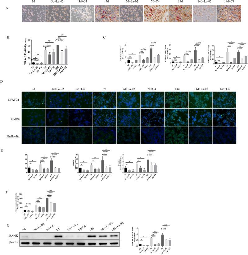 https://cdn.ncbi.nlm.nih.gov/pmc/blobs/6b29/10963762/9b500290fade/41598_2024_57122_Fig6_HTML.jpg