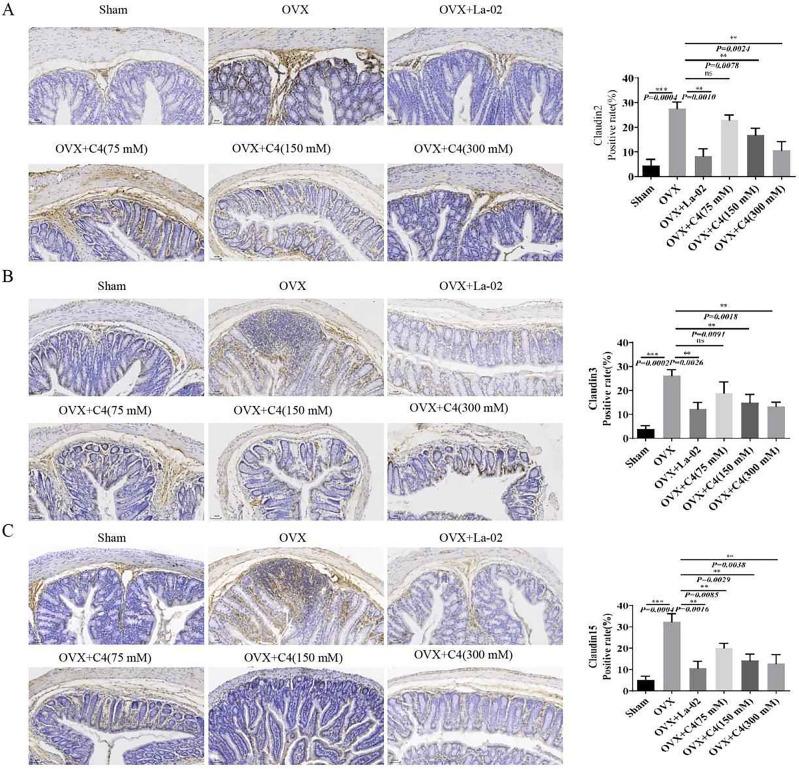 https://cdn.ncbi.nlm.nih.gov/pmc/blobs/6b29/10963762/e10d16be2bb8/41598_2024_57122_Fig3_HTML.jpg