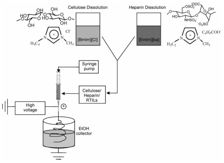 https://cdn.ncbi.nlm.nih.gov/pmc/blobs/6b2a/9963465/ffaef42787d8/pharmaceuticals-16-00272-g001.jpg