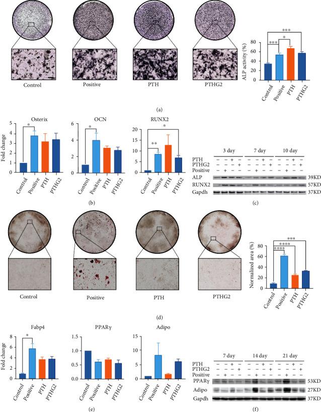 https://cdn.ncbi.nlm.nih.gov/pmc/blobs/6b2b/8720025/255dc4462bf4/SCI2021-8546739.004.jpg