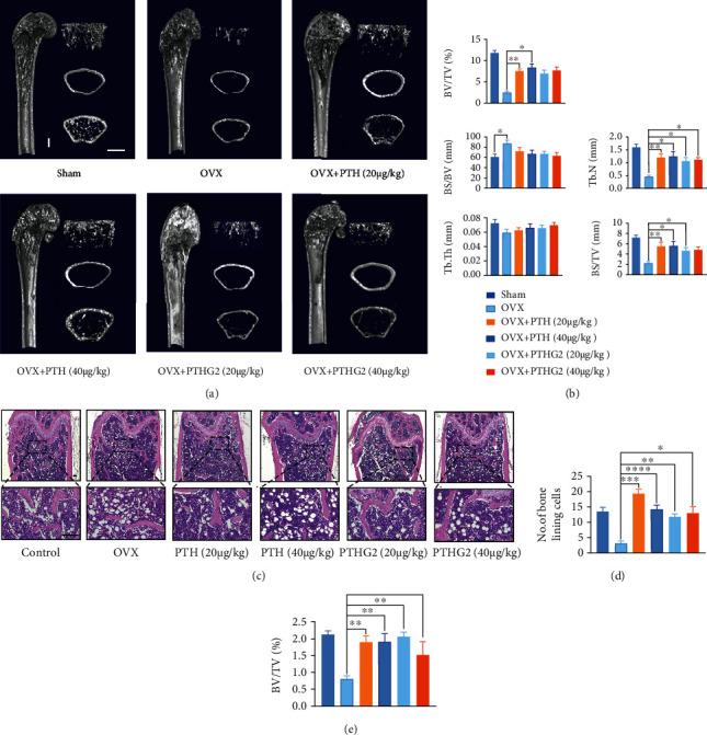 https://cdn.ncbi.nlm.nih.gov/pmc/blobs/6b2b/8720025/a621261277dc/SCI2021-8546739.002.jpg