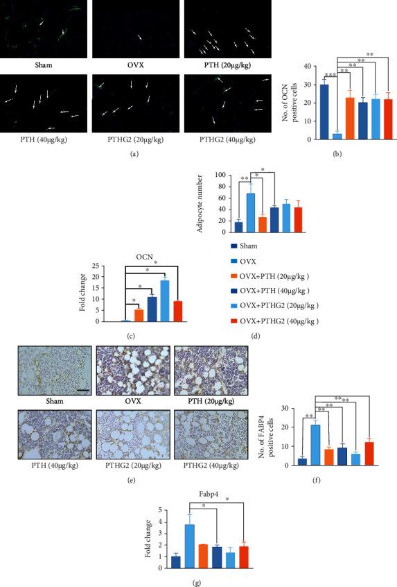 https://cdn.ncbi.nlm.nih.gov/pmc/blobs/6b2b/8720025/efbaa1ffefc4/SCI2021-8546739.003.jpg