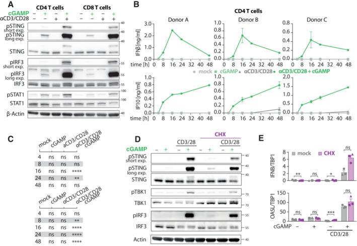 https://cdn.ncbi.nlm.nih.gov/pmc/blobs/6b2b/9986811/0dce54a654d9/EMBR-24-e55536-g006.jpg