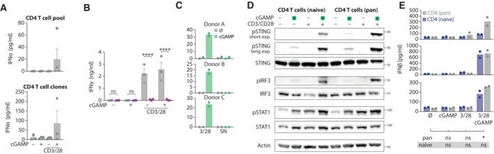 https://cdn.ncbi.nlm.nih.gov/pmc/blobs/6b2b/9986811/0e249273908e/EMBR-24-e55536-g010.jpg
