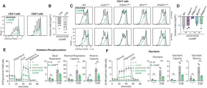 https://cdn.ncbi.nlm.nih.gov/pmc/blobs/6b2b/9986811/876abb642245/EMBR-24-e55536-g008.jpg