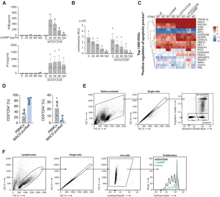 https://cdn.ncbi.nlm.nih.gov/pmc/blobs/6b2b/9986811/b7922a9c7f9a/EMBR-24-e55536-g007.jpg