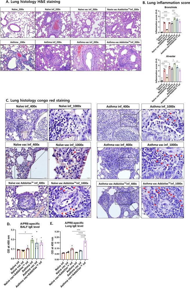 https://cdn.ncbi.nlm.nih.gov/pmc/blobs/6b2f/11984255/5dd893af1601/12931_2025_3209_Fig6_HTML.jpg