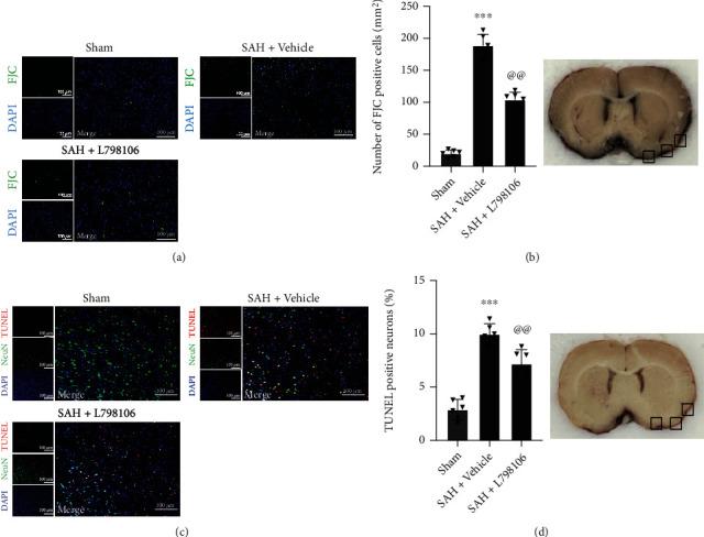 https://cdn.ncbi.nlm.nih.gov/pmc/blobs/6b30/9757947/4898c64056a1/OMCL2022-7727616.007.jpg