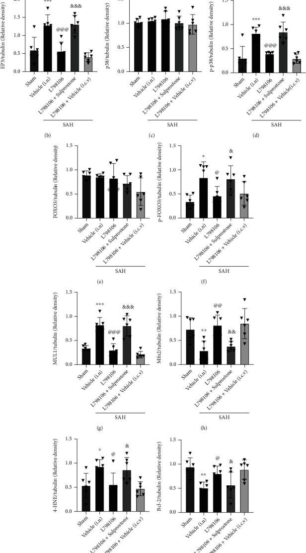 https://cdn.ncbi.nlm.nih.gov/pmc/blobs/6b30/9757947/6e9a8c8befc5/OMCL2022-7727616.011.jpg