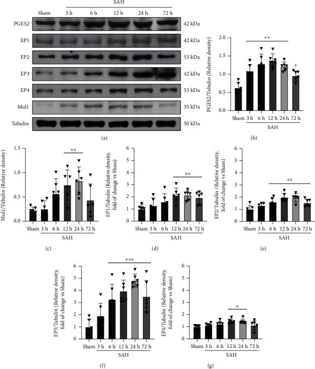 https://cdn.ncbi.nlm.nih.gov/pmc/blobs/6b30/9757947/f3025e31efdf/OMCL2022-7727616.002.jpg