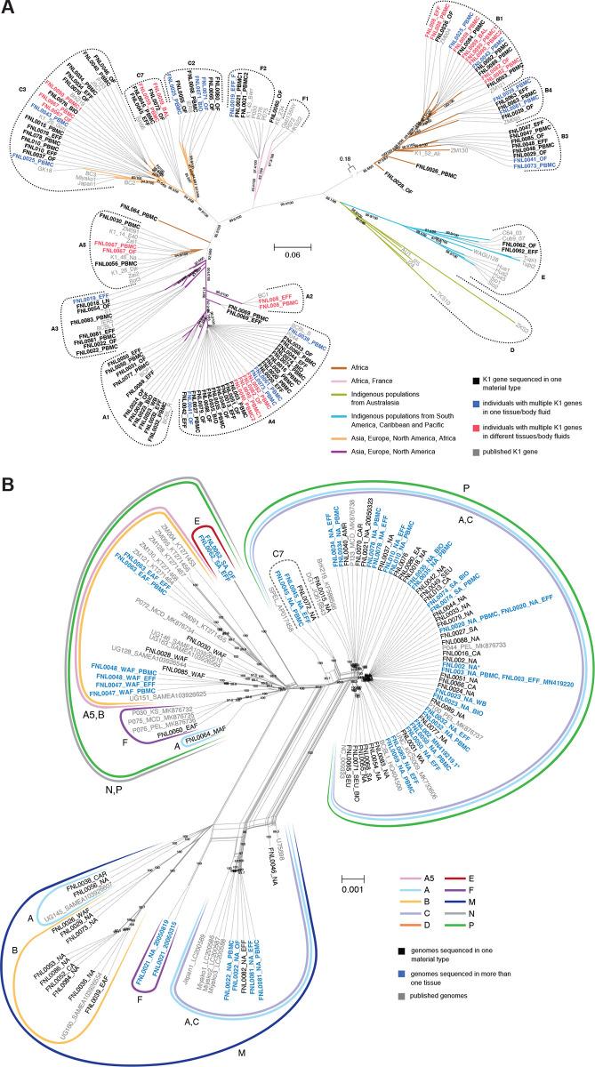 https://cdn.ncbi.nlm.nih.gov/pmc/blobs/6b31/11271956/846aaf858b14/ppat.1012338.g001.jpg