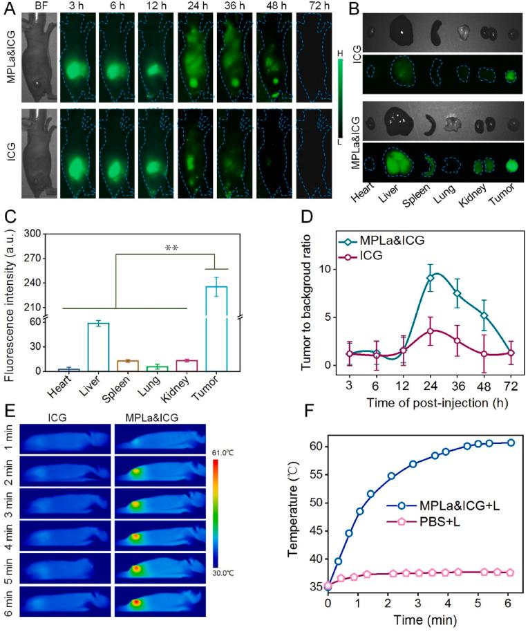 https://cdn.ncbi.nlm.nih.gov/pmc/blobs/6b32/11405823/9afba9be5553/gr5.jpg