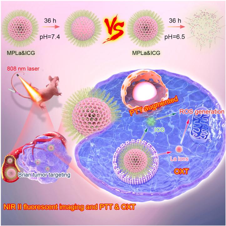 https://cdn.ncbi.nlm.nih.gov/pmc/blobs/6b32/11405823/f204a6ace650/ga1.jpg