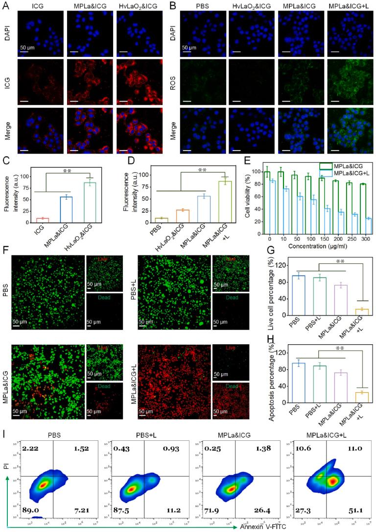 https://cdn.ncbi.nlm.nih.gov/pmc/blobs/6b32/11405823/ffff51b89ea3/gr4.jpg