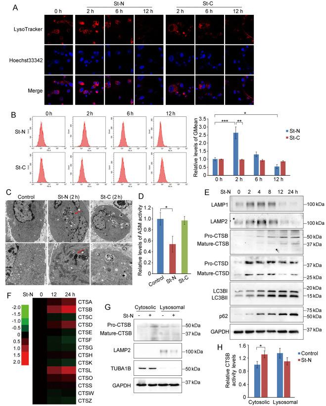 https://cdn.ncbi.nlm.nih.gov/pmc/blobs/6b32/11676526/24f991e58c56/pone.0316268.g002.jpg