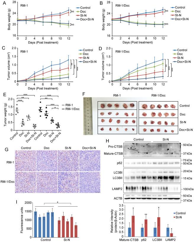 https://cdn.ncbi.nlm.nih.gov/pmc/blobs/6b32/11676526/99dccabc220c/pone.0316268.g005.jpg