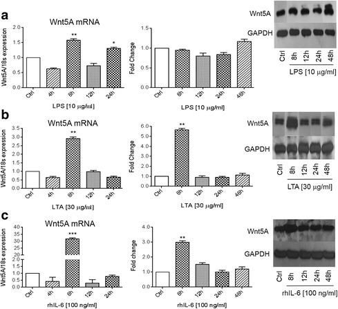 https://cdn.ncbi.nlm.nih.gov/pmc/blobs/6b32/5415827/4364e20eaea8/11658_2016_3_Fig1_HTML.jpg