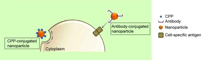 https://cdn.ncbi.nlm.nih.gov/pmc/blobs/6b34/4370919/b753920076c6/ijn-10-2191Fig8.jpg