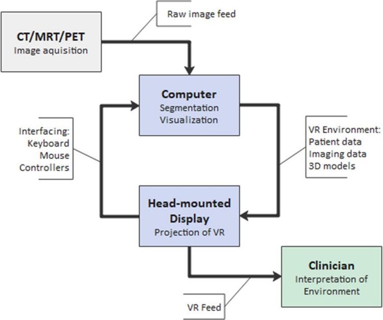 https://cdn.ncbi.nlm.nih.gov/pmc/blobs/6b35/11078809/cb9a486a96eb/464_2023_10615_Fig2_HTML.jpg