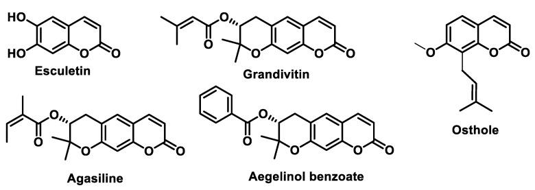 https://cdn.ncbi.nlm.nih.gov/pmc/blobs/6b35/11172677/1947f99144b9/ijms-25-06099-g039.jpg