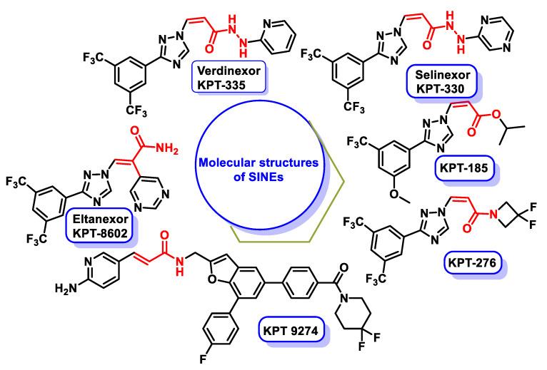 https://cdn.ncbi.nlm.nih.gov/pmc/blobs/6b35/11172677/2a8b9066f4c6/ijms-25-06099-g015.jpg