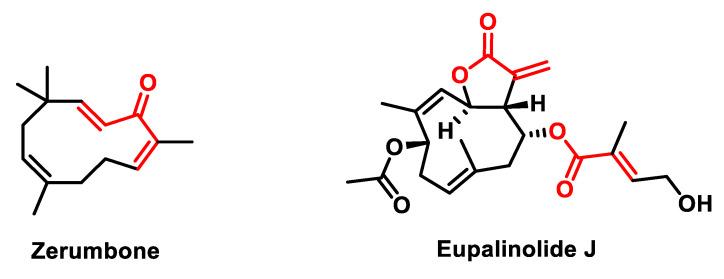 https://cdn.ncbi.nlm.nih.gov/pmc/blobs/6b35/11172677/4d12c3f4cd90/ijms-25-06099-g018.jpg