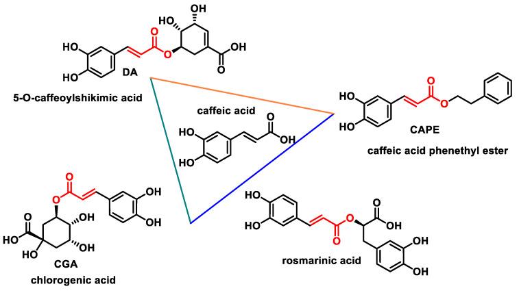 https://cdn.ncbi.nlm.nih.gov/pmc/blobs/6b35/11172677/5d04237cfea2/ijms-25-06099-g030.jpg
