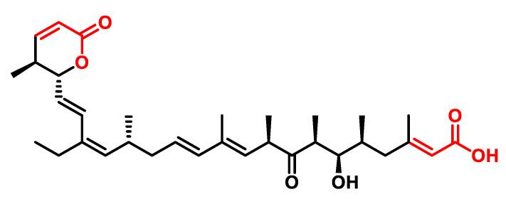 https://cdn.ncbi.nlm.nih.gov/pmc/blobs/6b35/11172677/62679aeac5d8/ijms-25-06099-g029.jpg