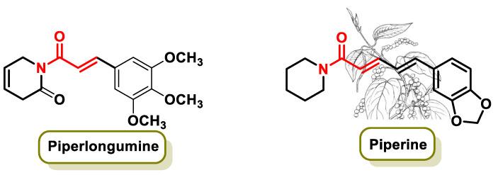 https://cdn.ncbi.nlm.nih.gov/pmc/blobs/6b35/11172677/a4249b4fff31/ijms-25-06099-g016.jpg
