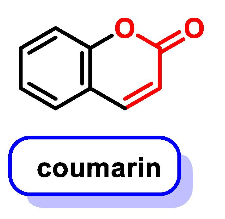 https://cdn.ncbi.nlm.nih.gov/pmc/blobs/6b35/11172677/a44663c9ae0a/ijms-25-06099-g037.jpg