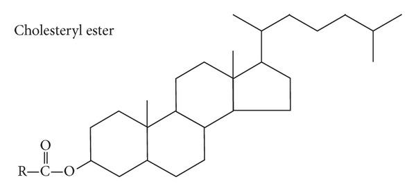 https://cdn.ncbi.nlm.nih.gov/pmc/blobs/6b36/3914521/54e2bcf4d60d/JL2014-495761.001.jpg