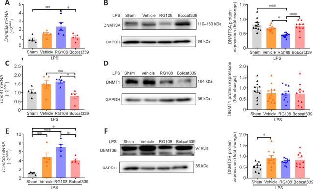 https://cdn.ncbi.nlm.nih.gov/pmc/blobs/6b37/11034580/0e3285eb9c99/NRR-19-2229-g006.jpg