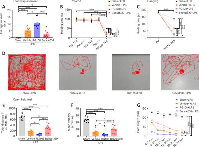 https://cdn.ncbi.nlm.nih.gov/pmc/blobs/6b37/11034580/6ea829d2a8b5/NRR-19-2229-g005.jpg