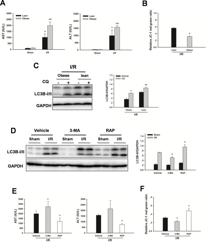 https://cdn.ncbi.nlm.nih.gov/pmc/blobs/6b37/5346646/2e4c95d33c88/oncotarget-07-78372-g003.jpg