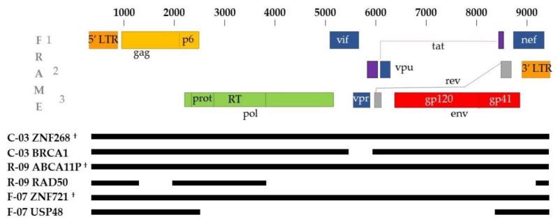 https://cdn.ncbi.nlm.nih.gov/pmc/blobs/6b38/8310066/39f0be0ae81c/viruses-13-01235-g002.jpg